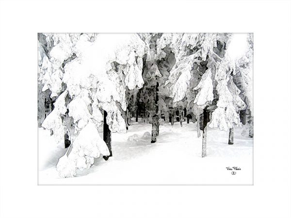 Sous-bois 3