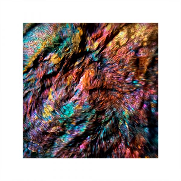 L'œil du cyclone