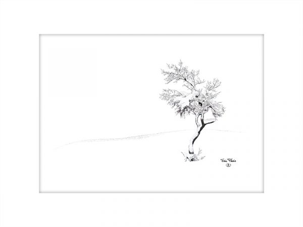 Un arbre