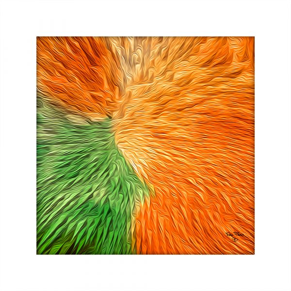 L'oiseau de feu