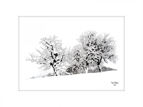 Trois arbres